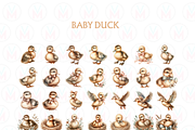 Watercolor Baby Duck ClipArt PNG, an Animal Illustration by VM PARTYS  BY TAIRUMA (Thumbnail 9 of 10)
