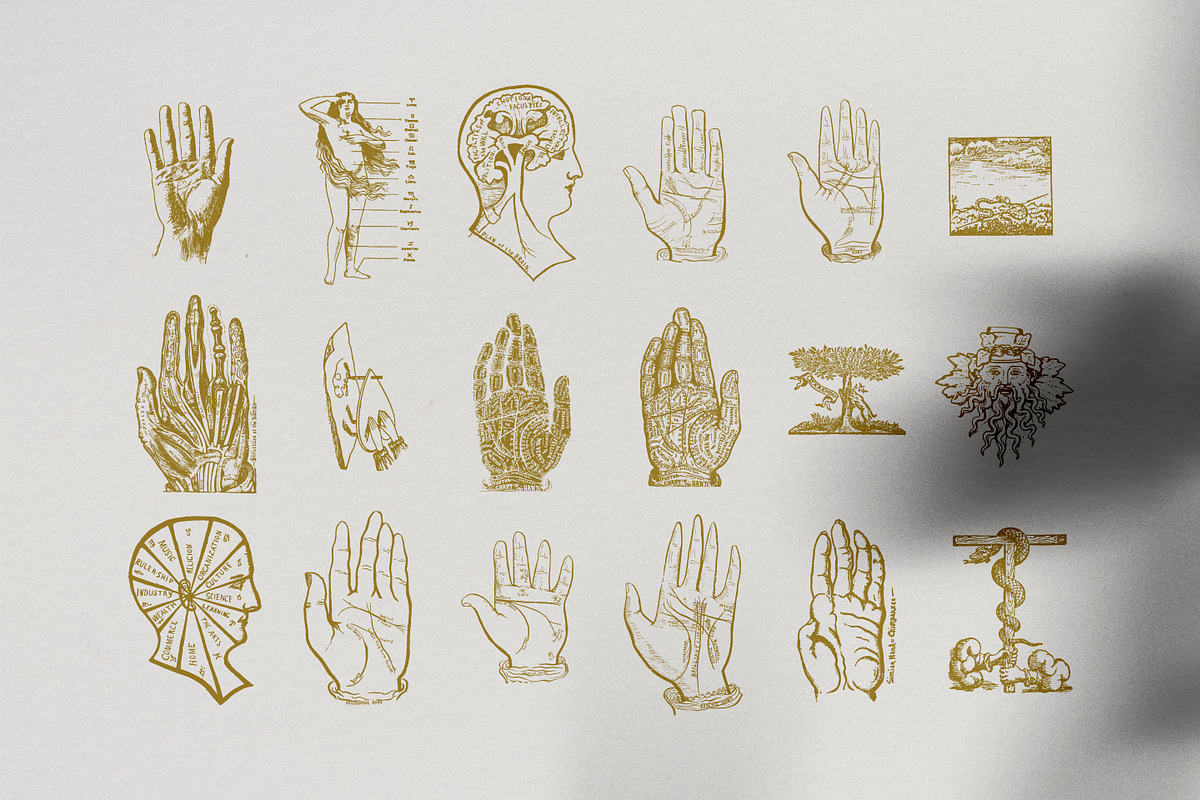 Palmistry, Zodiac & Occult, an Illustration by Nomad Visuals (Photo 9 of 13)