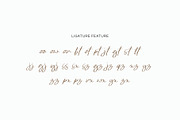 Bowthen Signature, a Script Font by Pustudio (Thumbnail 4 of 6)