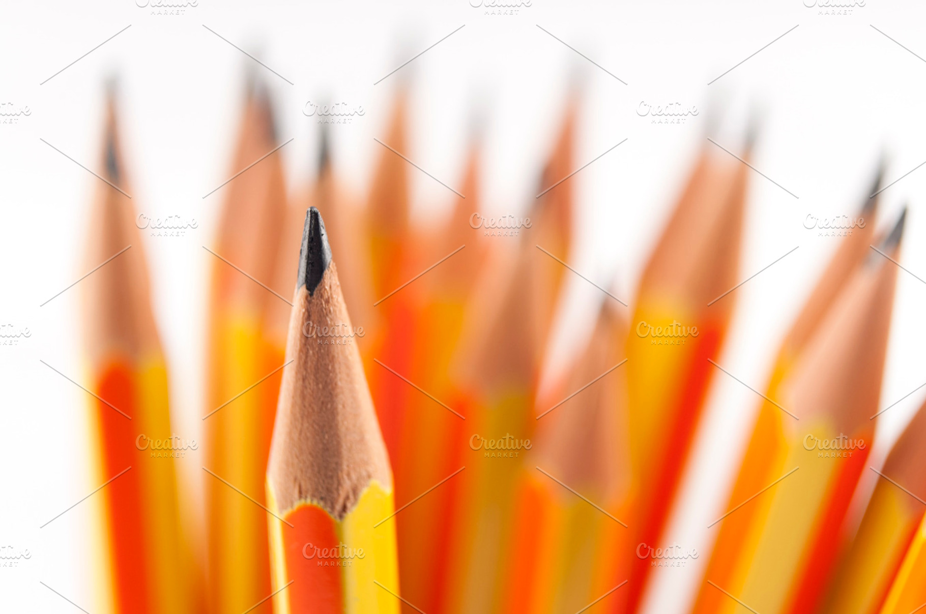 Pointed Pencil In Focus