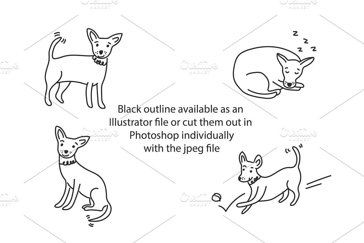 Cute doodle Chihuahuas, an Animal Illustration by Liz Pengilley Studio (Photo 2 of 4)