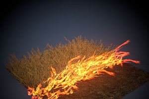 Burning Grass