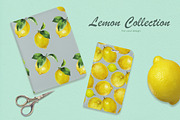 Lemon Collection, a Food Illustration by oKOLOstyle (Thumbnail 8 of 8)