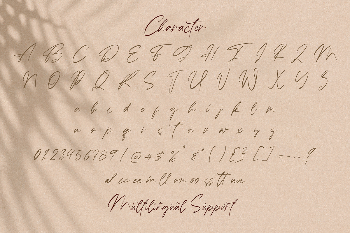 Ballerina - Signature Script Font, a Script Font by StringLabs (Photo 6 of 7)