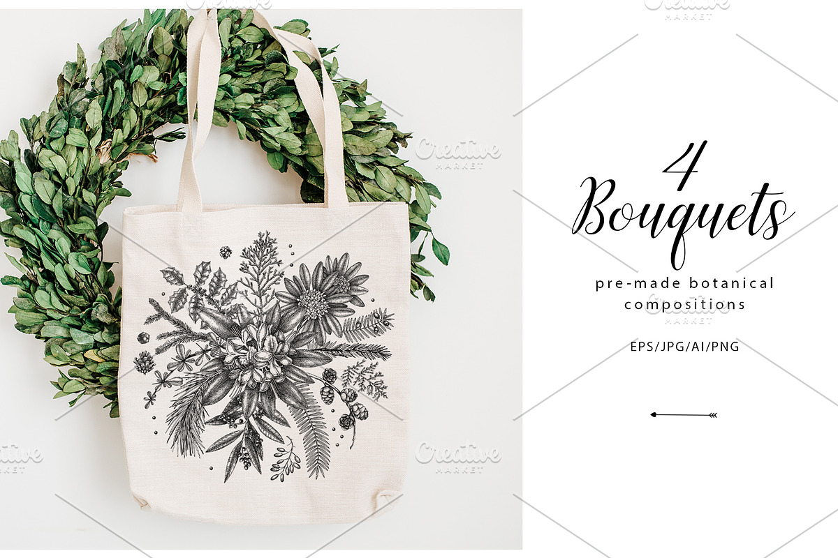 Winter Plants Set. Christmas Designs, a Seasonal Illustration by Yevheniia (Photo 3 of 13)