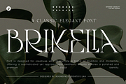 Brikelia Minimalist Fashionable Font, a Serif Font by roomspace creative lab (Thumbnail 1 of 12)