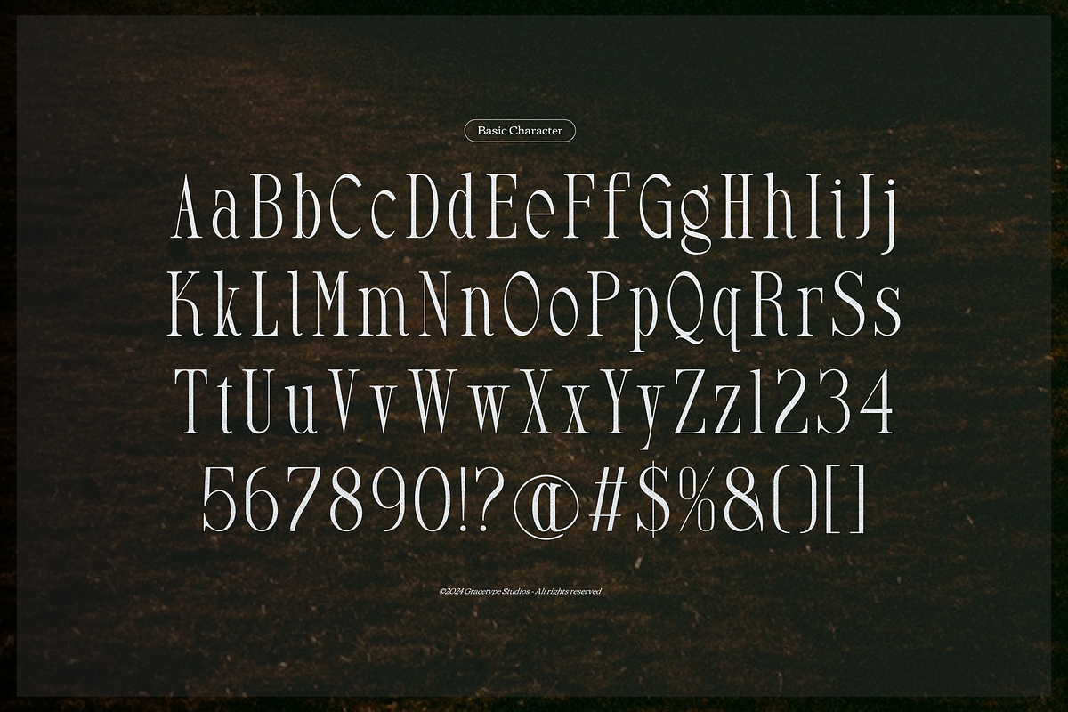 Arkvell | Modern Display Serif, a Serif Font by gracetype_studio (Photo 10 of 12)