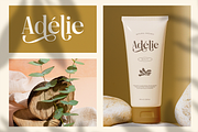 Dactine Classic Beauty Serif, a Serif Font by Portocraft (Thumbnail 5 of 10)