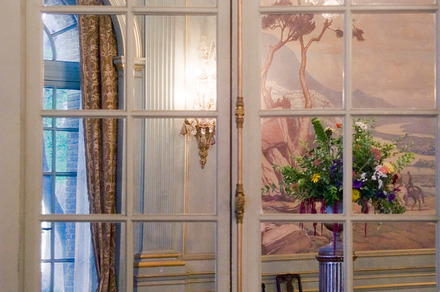 Estate Mirror Reflections (Photo)