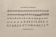 Alontima | Monoline Script, a Script Font by gracetype_studio (Thumbnail 12 of 12)