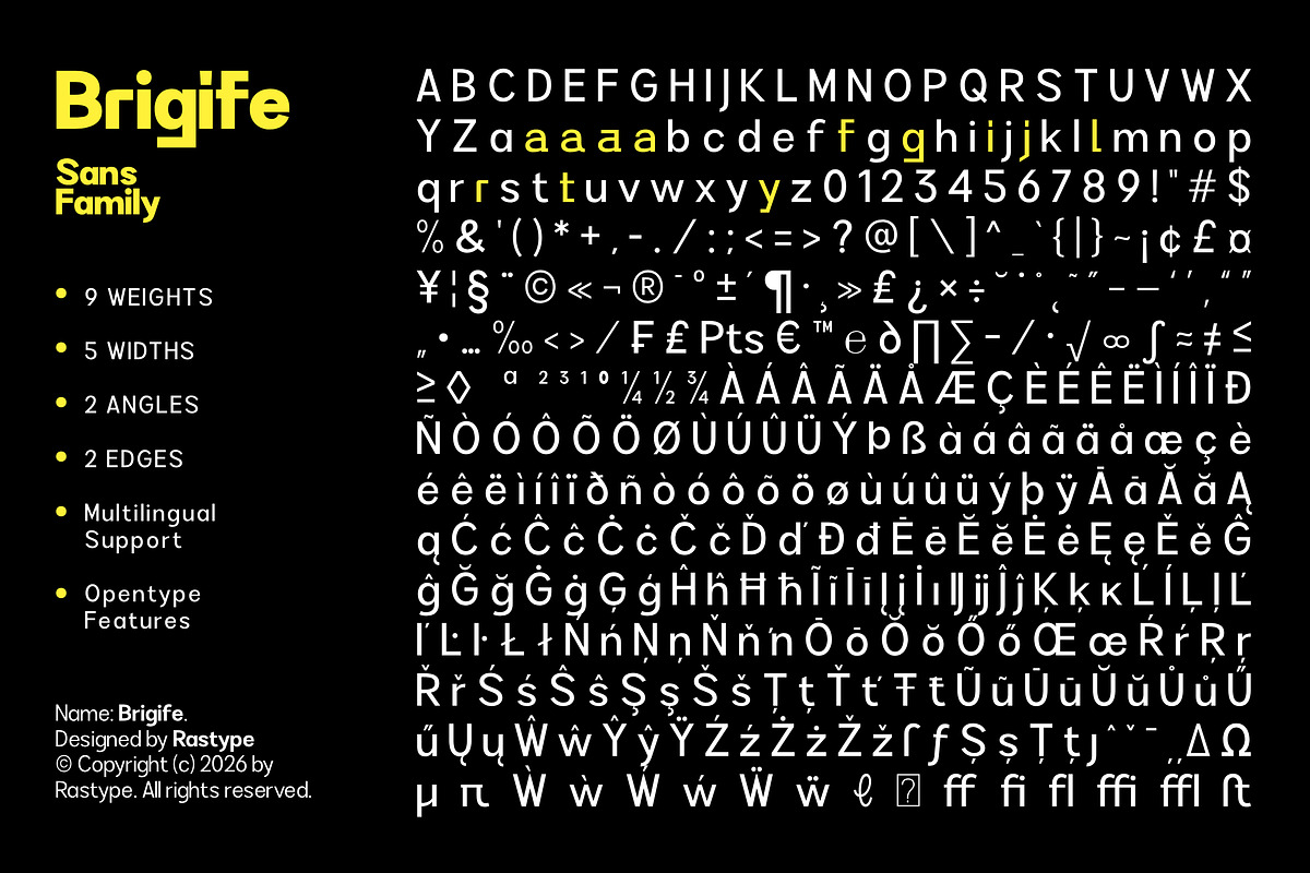 Brigife - Family Font, a Sans Serif Font by Rastype (Photo 10 of 11)