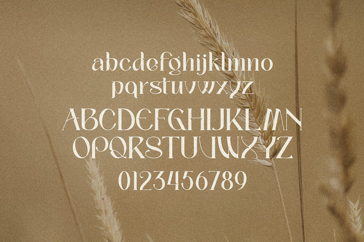 Palmer Sorjan - A Modern Serif, a Serif Font by Koplexs Studio (Photo 9 of 11)