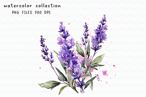 Lavender Purple Flower Watercolor