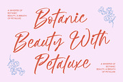 Suthel Matik - Bold Brush Font, a Script Font by stylishtype.co (Thumbnail 3 of 20)