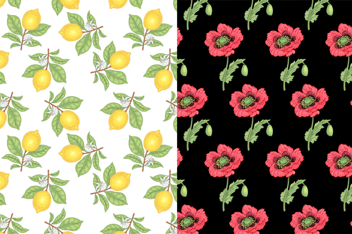 Set 40 hand drawn plants., an Object Graphic by MarinaVorontsova (Photo 8 of 8)