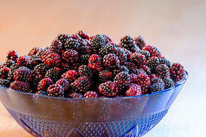 Wild Blackberry Bowl Overhead, a Food & Drink Photo by THP Creative