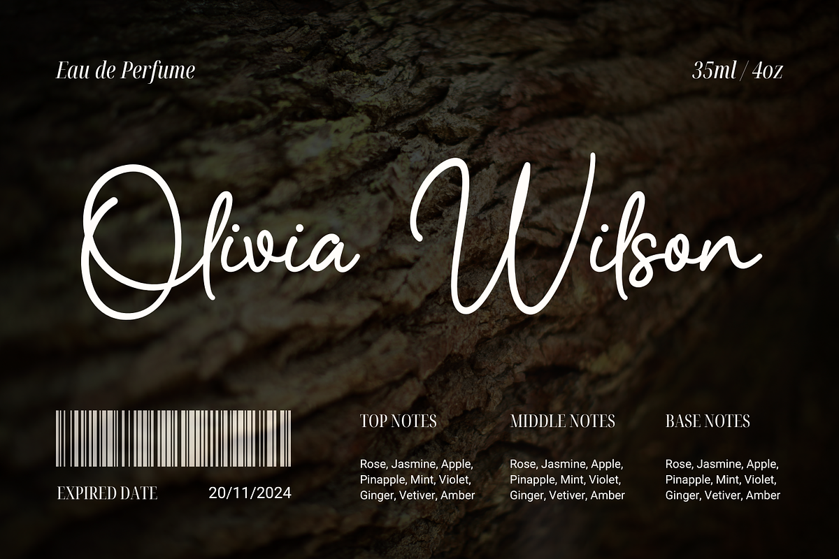 Dillematica Signature Font, a Handwritten Font by Basnistudio (Photo 5 of 10)