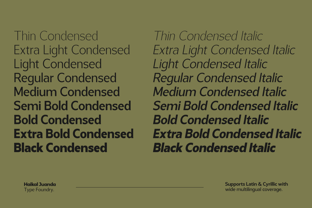 Gastrin, a Sans Serif Font by Pista Mova (Photo 8 of 12)