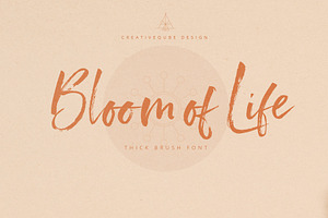 Bloom Of Life Script Font