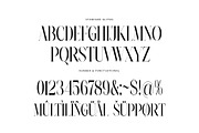 Najika Elegant Serif Font Typeface, a Serif Font by Perfectype (Thumbnail 7 of 7)
