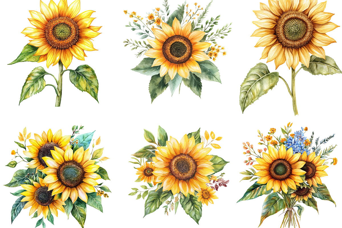 Watercolor Sunflower Clipart Bundle, an Illustration by Designking (Photo 4 of 6)