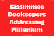 BN Buzzer Sans Serif Display Font, a Sans Serif Font by Bnick (Thumbnail 4 of 18)
