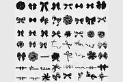 56 Black Satin Bows and Ribbons PNG, an Object Graphic by ThingsbyLary (Thumbnail 5 of 10)