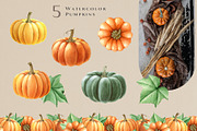 Autumn Pumpkins Watercolor Clipart, a Seasonal Illustration by AnitaPol (Thumbnail 2 of 12)