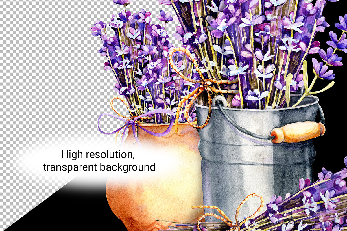 Provence Lavender watercolor clipart, a Decorative Illustration by Artmanata (Photo 4 of 14)