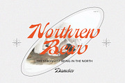 Reinhart Script, a Script Font by Damelev (Thumbnail 4 of 9)