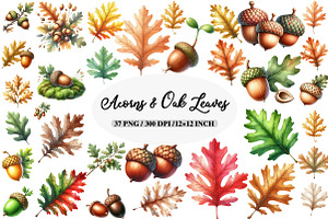 Acorns & Oak Leaves Clipart, an Illustration by Daily.Designs