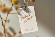 Bellavine, a Serif Font by din-studio.com (Thumbnail 5 of 11)