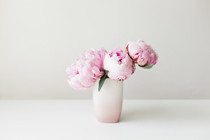 Pink Vase of Pink Peonies