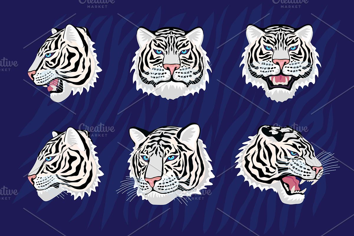White Tiger in Tropical vector, an Animal Illustration by Iraida_Bearlala (Photo 7 of 10)