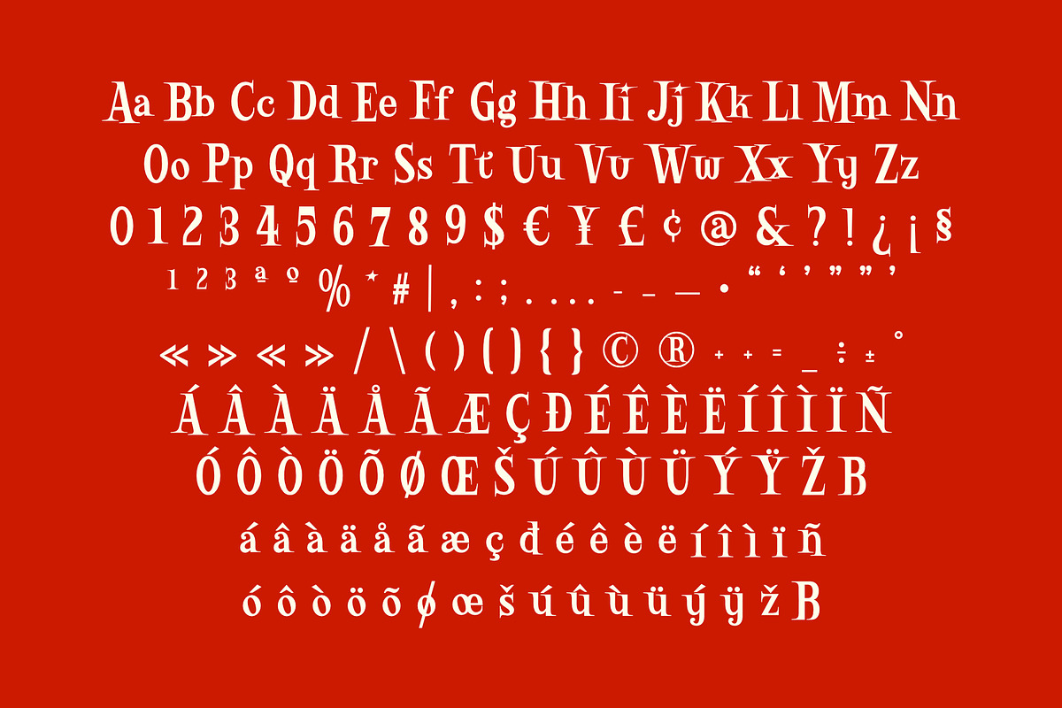 Billion Collars - Playful Serif, a Serif Font by Variatype (Photo 7 of 8)