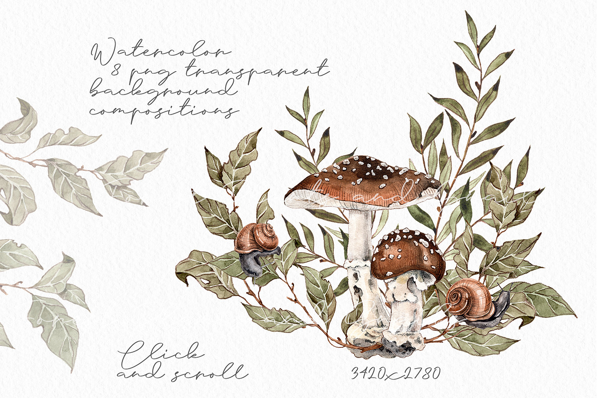 Forest plants and snails watercolor, an Illustration by Alamella (Photo 2 of 7)