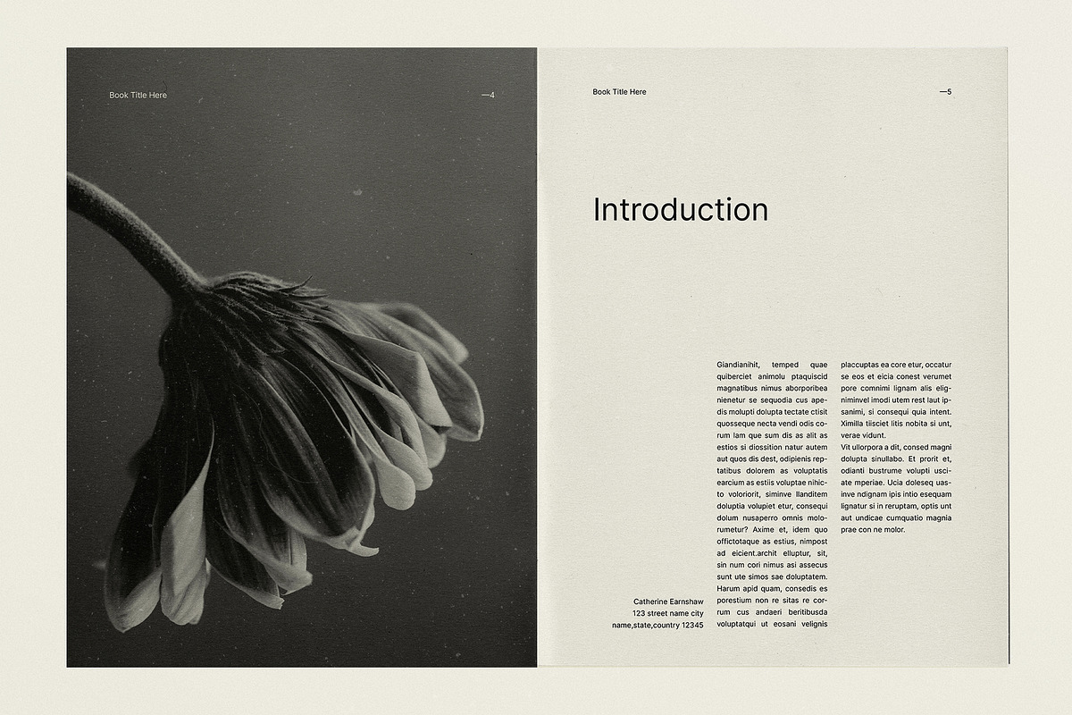 Editorial Magazine & Book Layout, a Magazine Template by Studio Monova (Photo 4 of 17)