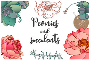 30% OFF - Peonies and succulents.