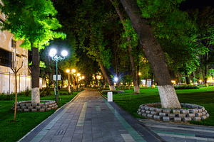 A paved pathway in a park at night with illuminated trees and la, a Nature Photo by Eugene_Photo