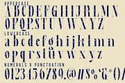 Physical Realities Font, a Serif Font by 177Studio (Thumbnail 7 of 8)