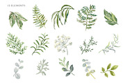 Forest greenery. Vector collection, an Object Illustration by OJardin (Thumbnail 7 of 7)