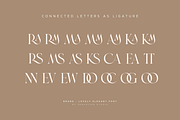 Brand - Lovely Elegant Font, a Serif Font by Sensatype (Thumbnail 6 of 14)