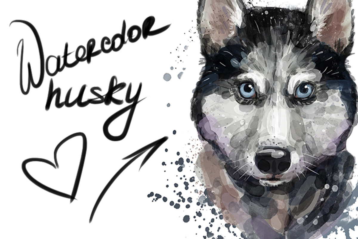 Digital watercolor cute husky, an Animal Illustration by art_mouse (Photo 1 of 6)