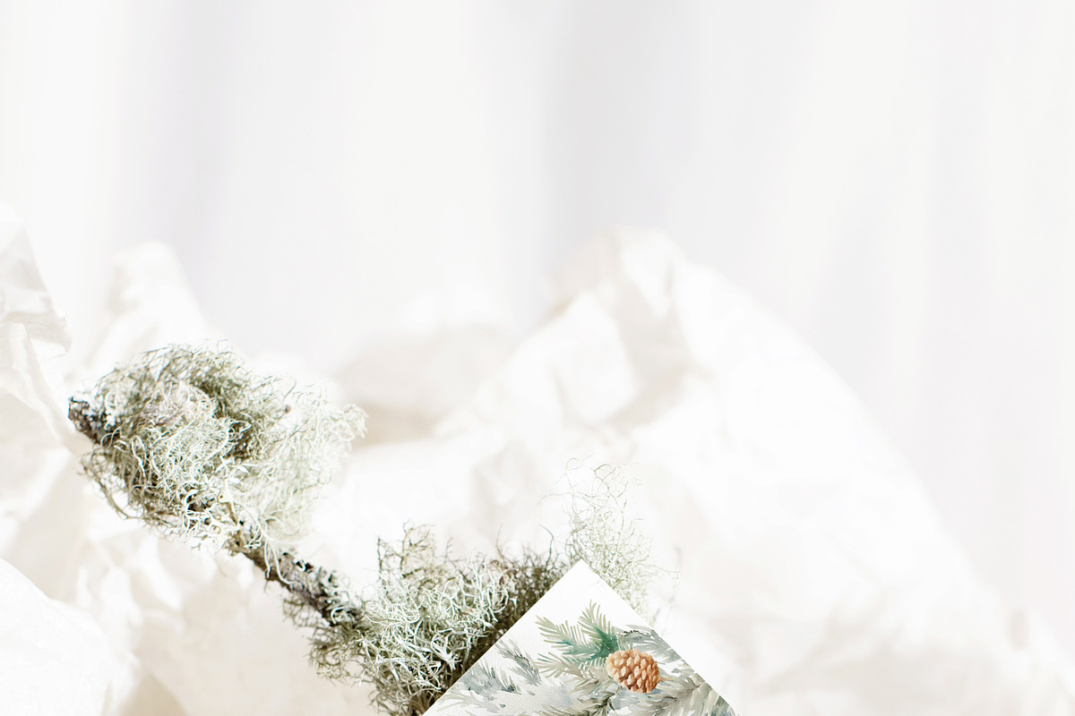 FLORAL WINTER BOX Watercolor Bundle, a Seasonal Illustration by Muse Artist (Photo 86 of 95)
