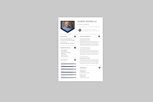 Robert Account Resume Designer