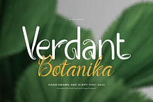 Verdant Botanika | Hand Drawn Script