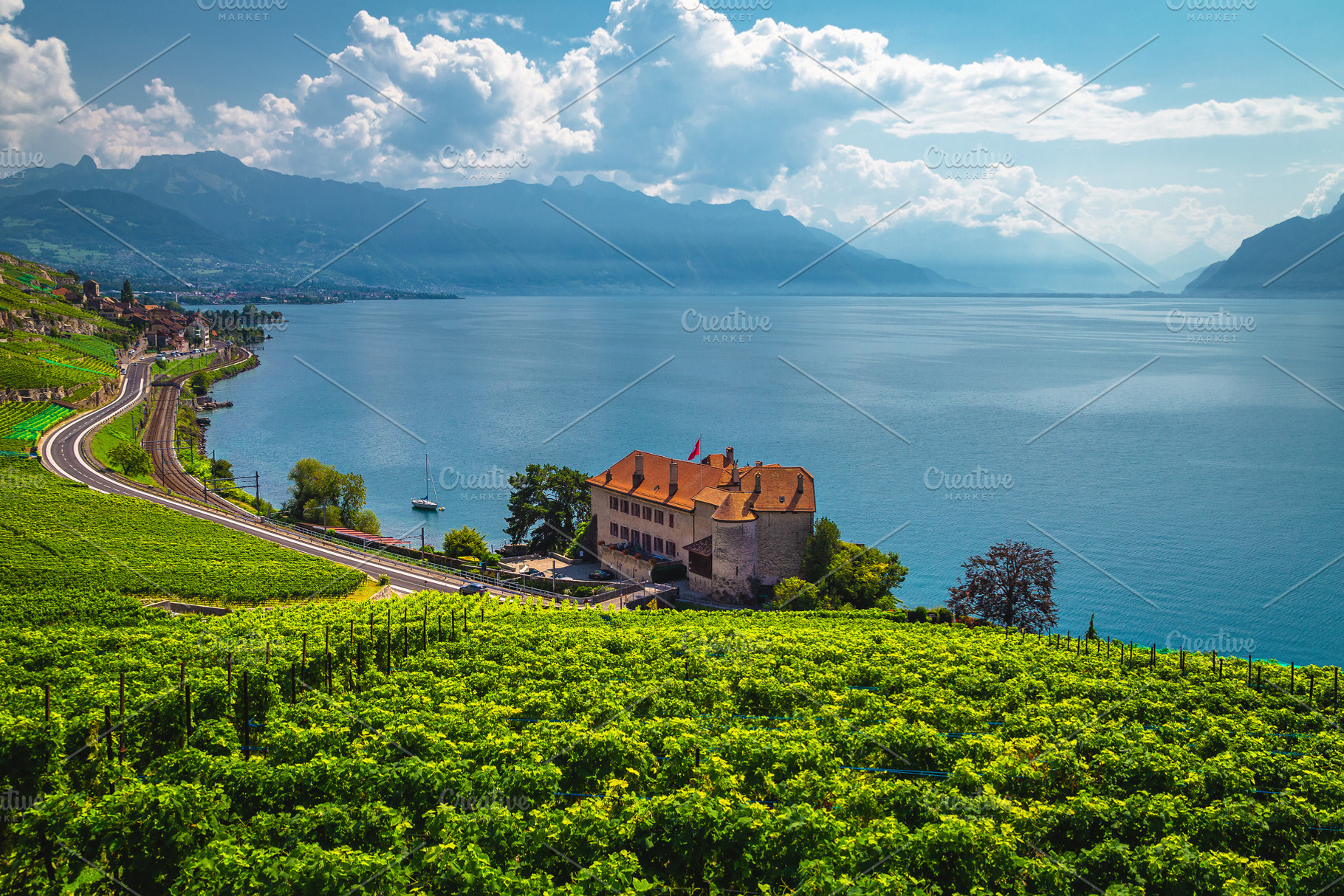 Vineyards and lakeside house, a Nature Photo by Alpine Dreams