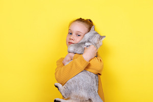 Young girl in yellow sweater hugging gray cat against bright yel, a Person Photo by Ales Munt