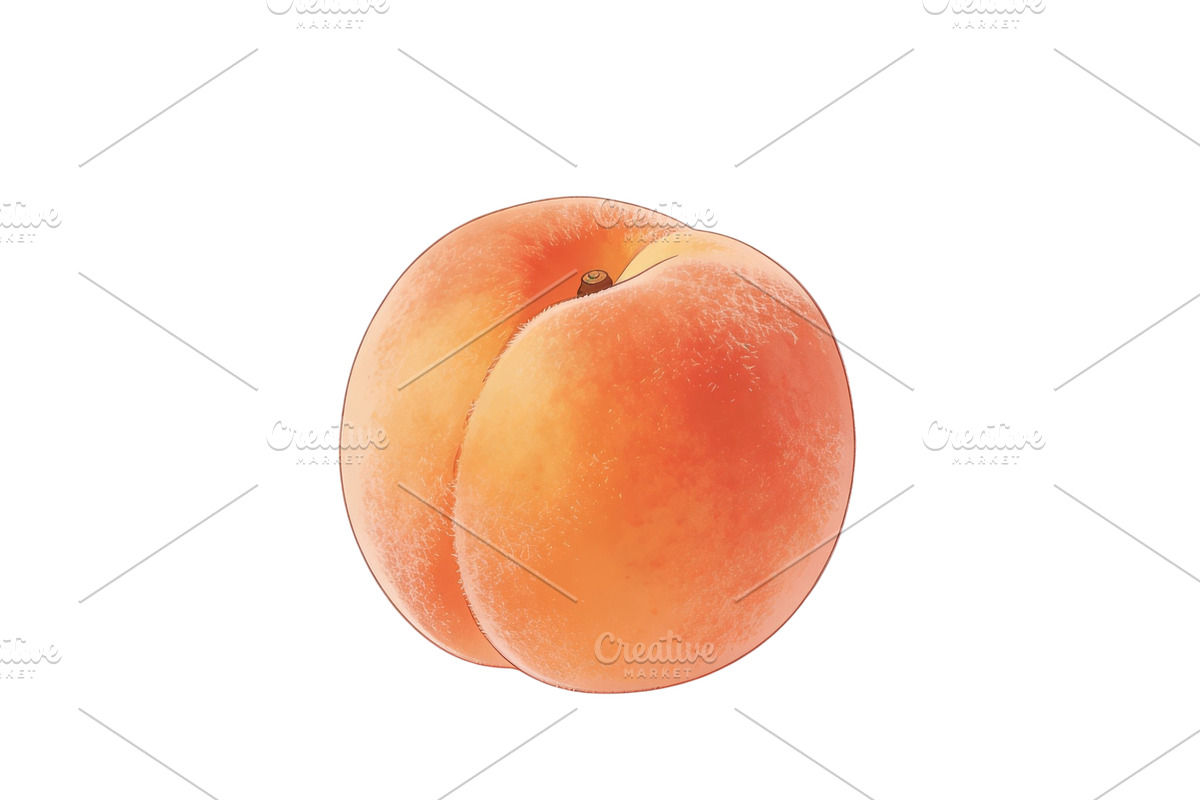 All Fruits Bundle Master Collection, a Food & Drink Photo by FlyeredTemplate (Photo 100 of 130)