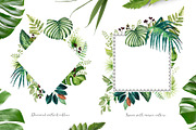 Tropical leaves old pharmacy bottles, an Illustration by marie dricot (Thumbnail 5 of 12)
